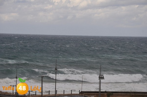 yaffa rain 1211 (24).JPG